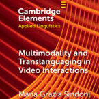 Multimodality and Translanguaging in Video Interactions – Maria Grazia Sindoni